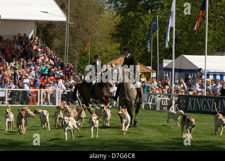 Duke of Beaufort Hunt staff, The Parade of Hounds nell'arena principale al Badminton Horse Trials Gloucestershire Inghilterra 2013 2010s UK HOMER SYKES Foto Stock