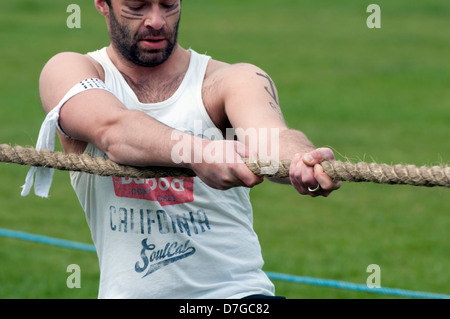 Rimorchiatore di guerra a Hearsall comune, Coventry, Regno Unito Foto Stock