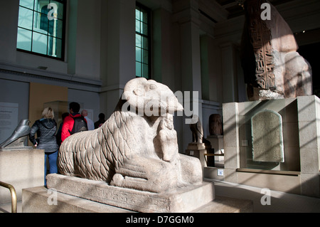 Ram di granito di Amon con re Taharqa, Galleria egiziano, al British Museum di Londra, Regno Unito Foto Stock