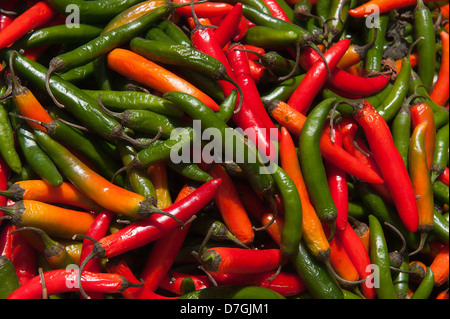 Red & peperoncini verdi al Mercato degli Agricoltori, Davis California Foto Stock