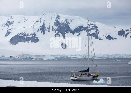 Una barca a vela a de Cuverville Island, l'Antartide. Foto Stock