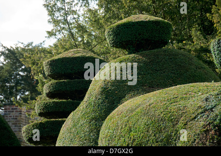 Topiaria da hedge a Tatton Park, Knutsford, Cheshire, Inghilterra, Regno Unito Foto Stock