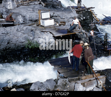 Questa fotografia storica cattura i pescatori delle Celilo Falls sul fiume Columbia, un luogo importante per le pratiche di pesca dei nativi americani. Preso da Gerald W. Williams, riflette i metodi tradizionali usati dalle comunità indigene del Nord-ovest Pacifico. L'immagine fa parte della collezione Jack Williams presso l'Oregon State University Archives. Foto Stock