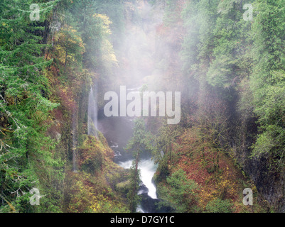 Cascate stagionali (senza nome) in Eagle Creek. Columbia River Gorge National Scenic Area, Oregon Foto Stock