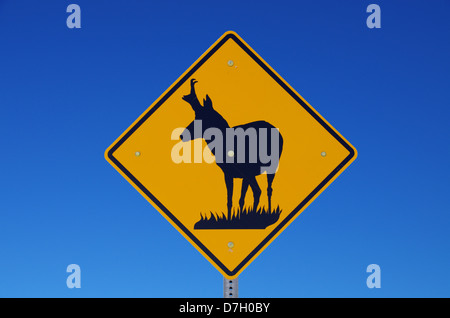Cartello stradale di avvertimento di pronghorn antelope attraversando la strada con cielo blu sullo sfondo Foto Stock