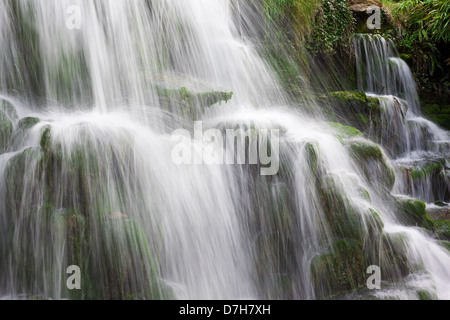 Cascata di acqua su rocce di muschio con una lunga esposizione blur Foto Stock