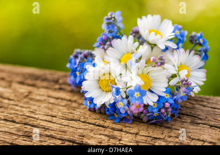Bouquet con margherite e dimenticare-me-non Foto Stock