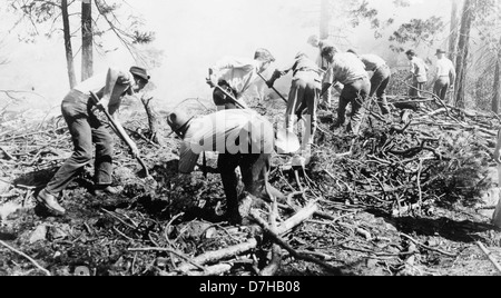 Una fotografia dagli archivi dell'OSU che mostra individui che lavorano su una pista antincendio durante l'estate. L'immagine cattura lo sforzo necessario per la manutenzione delle piste antincendio nell'ambito della gestione delle foreste e della prevenzione degli incendi. Foto Stock