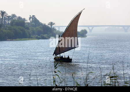 Felucca barca a vela sul fiume Nilo vicino Assiut, Alto Egitto Foto Stock