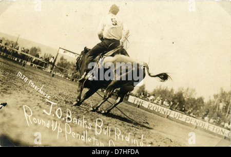 Questa fotografia storica mostra J.O. Banks che partecipa a un evento di corsa di tori, catturando l'azione dinamica e l'atletismo coinvolti negli sport da rodeo. L'immagine fa parte di una collezione che documenta la cultura del rodeo e lo sport. Foto Stock