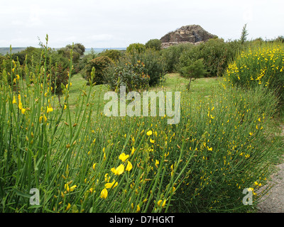 Una vista al complesso nuragico di Barumini, il più importante sito archeologico in Sardegna nella provincia di cagliari Foto Stock