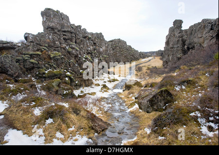 Percorso attraverso la valle di pingvellir in Islanda. La valle si trova tra il Nord America e metà europea di placche tettoniche. Foto Stock