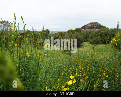 Una vista al complesso nuragico di Barumini, il più importante sito archeologico in Sardegna nella provincia di cagliari Foto Stock