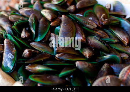 Ostriche e capesante sul mercato asiatico Foto Stock