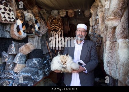 Negozio di pellicce a Kabul, Afghanistan Foto Stock