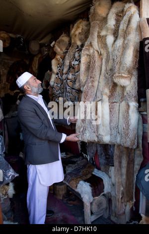 Negozio di pellicce a Kabul, Afghanistan Foto Stock