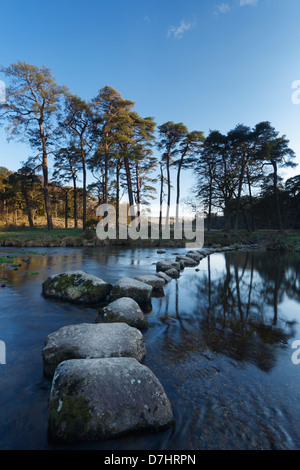 Pietre miliari attraverso il West Dart River. Parco Nazionale di Dartmoor. Devon. In Inghilterra. Regno Unito. Foto Stock