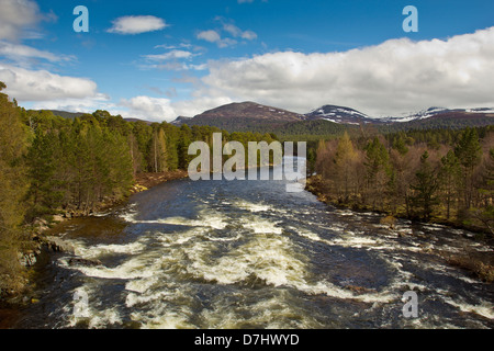 Vista della coperta di neve LOCHNAGAR MOUNTAIN dal vecchio ponte di INVERCAULD SAPERE COME LA BRIGA O DEE ABERDEENSHIRE IN SCOZIA Foto Stock