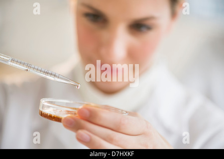 Close-up di scienziato usando una pipetta e capsula di petri Foto Stock
