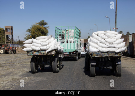 WHITE SACCHI SU CARRI VICINO A ASWAN EGITTO 11 Gennaio 2013 Foto Stock