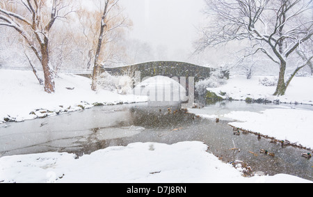 Stati Uniti d'America, New York New York City Central Park, Gapstow Bridge in inverno Foto Stock