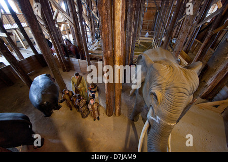 Replica del arco di Noè, costruita in scala reale come un museo, Dordrecht, Olanda Foto Stock