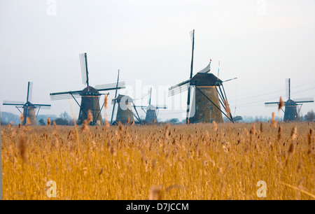 Kinderdijk in Olanda: 19 vecchi mulini a vento sono ancora al lavoro Foto Stock