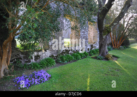 Dartington Hall, giardino paesaggistico, Totnes, Devon. Progettato da Dorothy Elmhirst. Centro Visitatori, Conference & Arts. Foto Stock