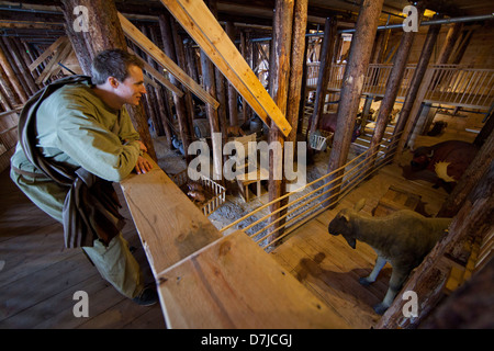 Replica del arco di Noè, costruita in scala reale come un museo, Dordrecht, Olanda Foto Stock