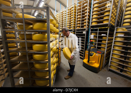 Fabbrica di formaggio in Olanda Foto Stock