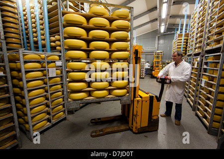 Fabbrica di formaggio in Olanda Foto Stock