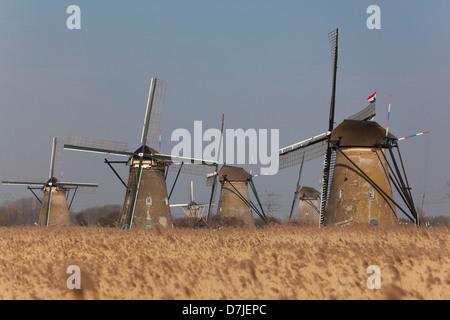 Kinderdijk, 19 mulini a vento olandese in Olanda Foto Stock