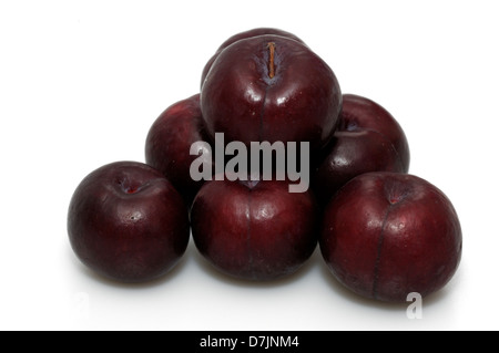 Organici di prugne rosse (Prunus domestica) Foto Stock