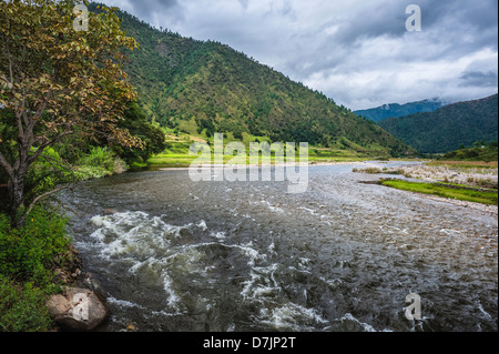 Sangti fiume che scorre attraverso il villaggio di Sangti nella profonda valle di alte montagne e le boscose pendici occidentali, Arunachal Pradesh. Foto Stock