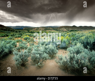 Stati Uniti - UTAH: Rainstrom nel deserto vicino a Torrey Foto Stock