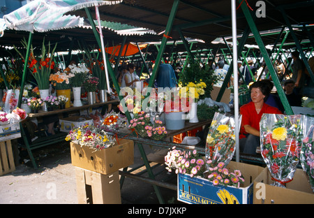 Sarajevo in Bosnia Erzegovina mercato dove la malta ha ucciso 68 persone nel febbraio 1984 Foto Stock