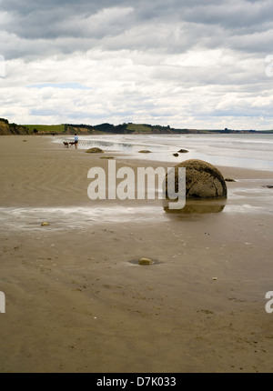 Vista del Moeraki Boulders, vicino Moeraki, Otago, Nuova Zelanda Foto Stock