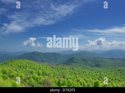 La Russia. Lagonaki altopiano. Adygea. Le montagne in primavera Foto Stock