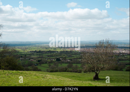 La vista su cheltenham da leckhampton hill, Gloucestershire, Inghilterra, Regno Unito. Foto Stock