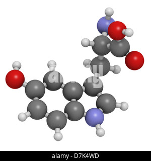 5-idrossitriptofano (5-HTP, oxitriptan) antidepressivo, modello molecolare. 5-HTP è usato come un antidepressivo e aiuto per dormire. Foto Stock