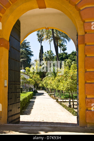 Arcata della porta d'ingresso vero e proprio giardini dell'Alcazar sito patrimonio mondiale dell'UNESCO Siviglia Andalusia Andalusia Spagna Europa Foto Stock