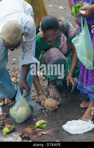 Un indù devoto interruzioni aperta una noce di cocco come offerta al tempio Arunachaleswara a Tiruvannamalai, Tamil Nadu, India Foto Stock