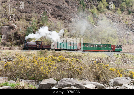 Una locomotiva a vapore la trazione di un treno passeggeri del Ffestiniog Railway sul Welsh Highland linea ferroviaria, Galles Foto Stock