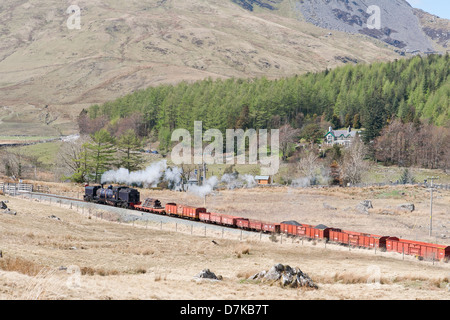 Una locomotiva a vapore tirando un treno merci sul Welsh Highland linea ferroviaria, Galles Foto Stock