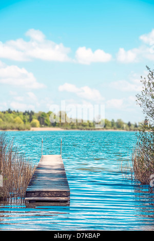 Il molo per i momenti di relax in luce, natura verde a Chiemsee, Germania Foto Stock