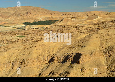 Oasis Tamerza nelle montagne vicino alla frontiera algerino, dove le oasi di montagna sono situati. A sud della Tunisia. Foto Stock