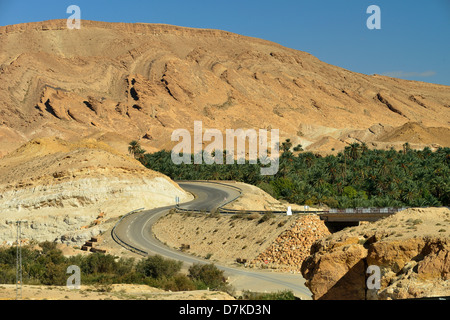 Oasis Tamerza nelle montagne vicino alla frontiera algerino, dove le oasi di montagna sono situati. A sud della Tunisia. Foto Stock