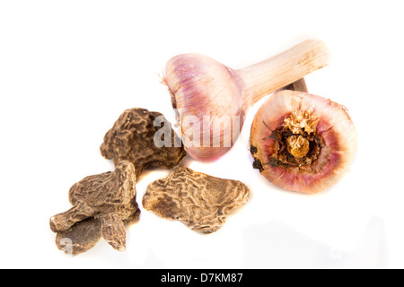 Gladiolus bulbi e semi di anemoni close up isolati su sfondo bianco. Foto Stock