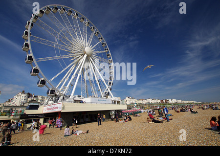 Persone relax sulla spiaggia di fronte alla ruota di Brighton Foto Stock