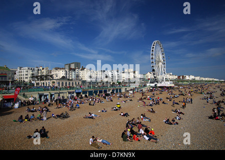 La spiaggia di Brighton con la ruota di Brighton in background Foto Stock